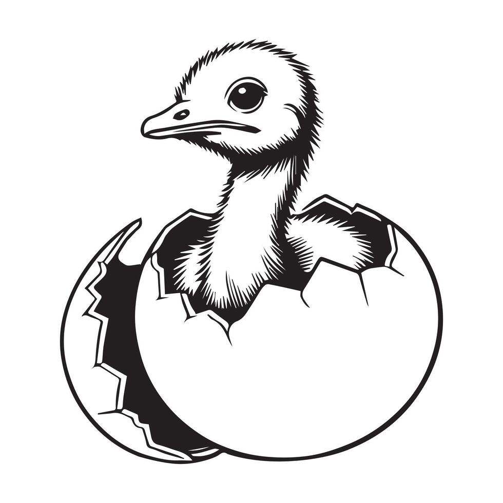 Ostrich Clipart, Struthio Bird Outline Design, Common ostrich silhouette, Flightless bird illustration in black and white vector