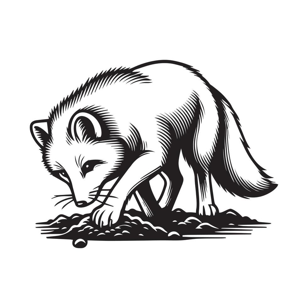 Fox Clipart, White Fox Outline Design, A Digging Arctic fox illustration in black and white vector