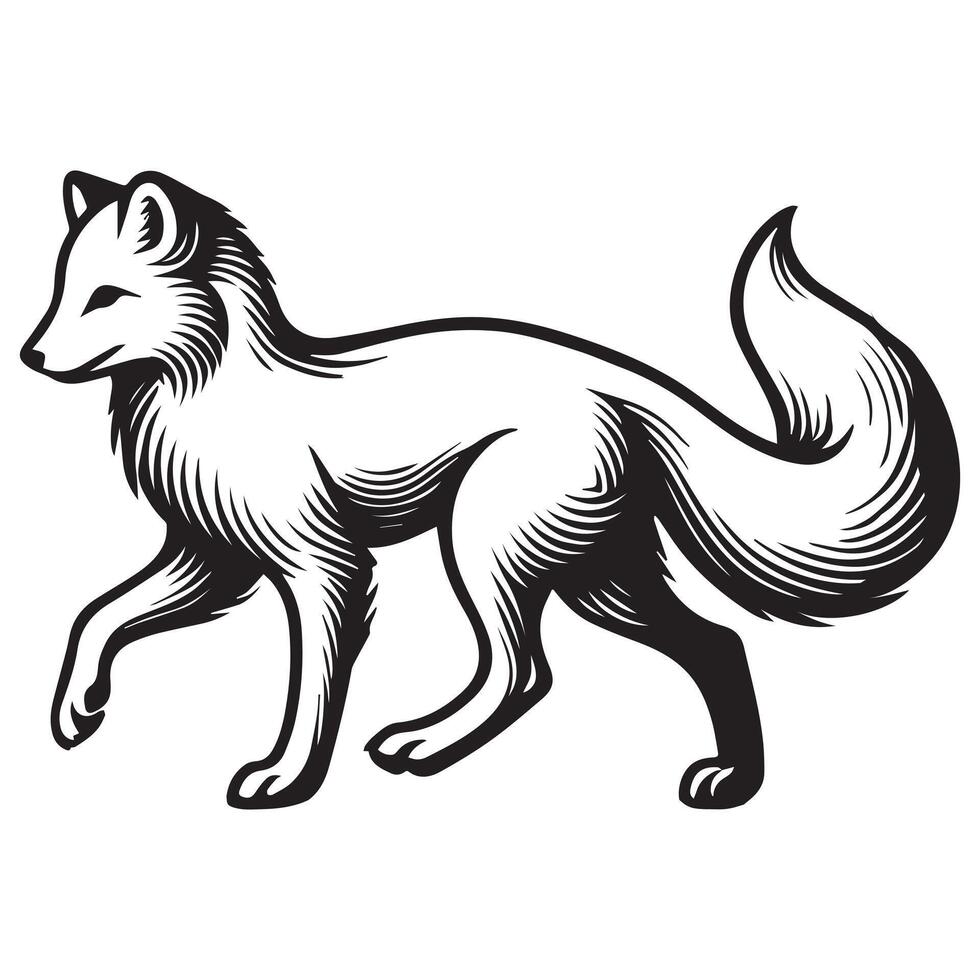 Fox Clipart, White Fox Outline Design, A Walking arctic fox illustration in black and white vector
