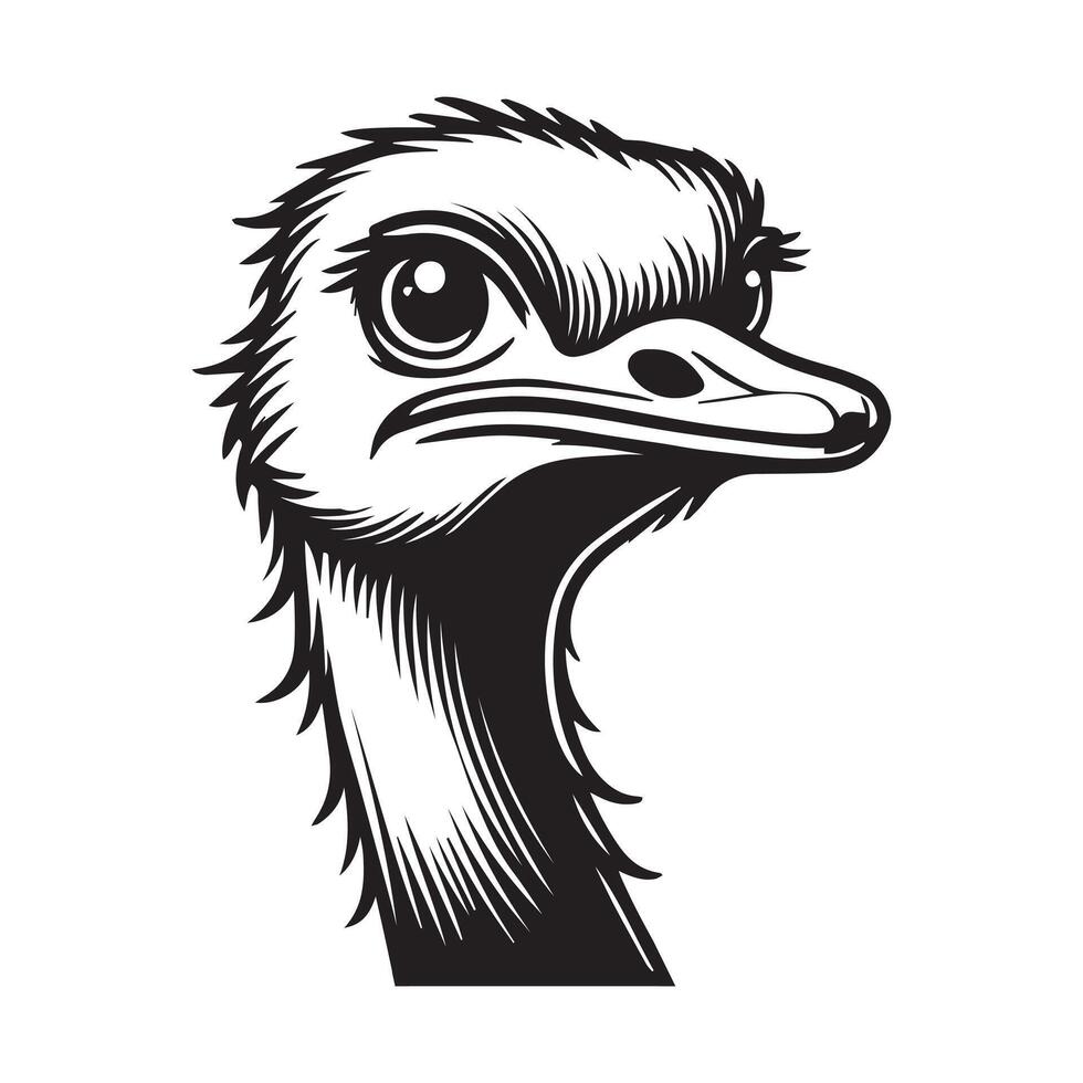 Ostrich Face Clipart, Struthio Bird Outline Design, Common ostrich silhouette, Flightless bird illustration in black and white vector
