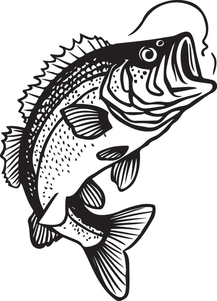 Artwork of bass fish vector