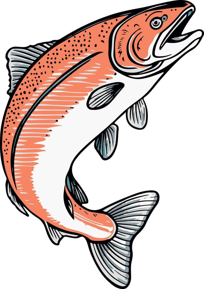 Artwork of salmon fish vector