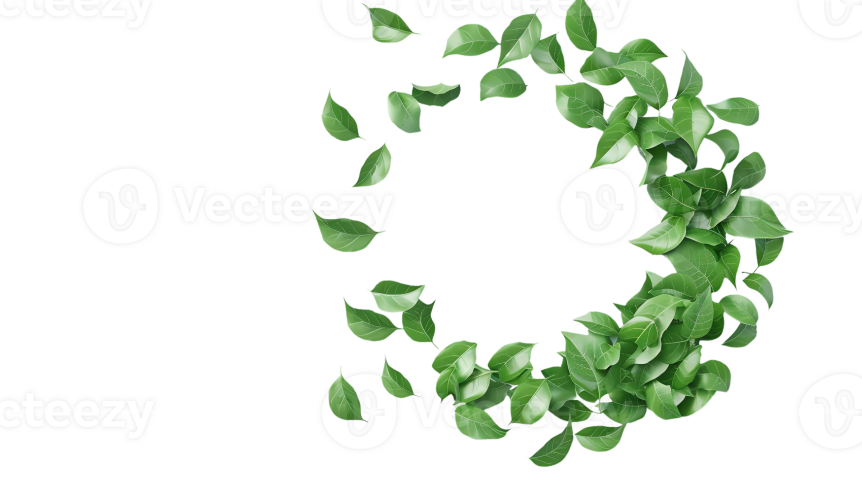 A circular arrangement of green leaves on a transparent background, perfect for eco-friendly and nature-themed designs and projects. png