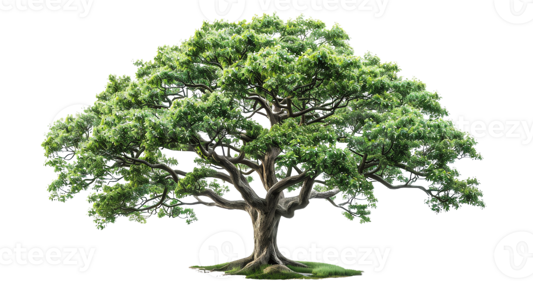 A majestic tree with lush green leaves, standing alone on a grassy patch, under a clear sky, representing nature and serenity. png