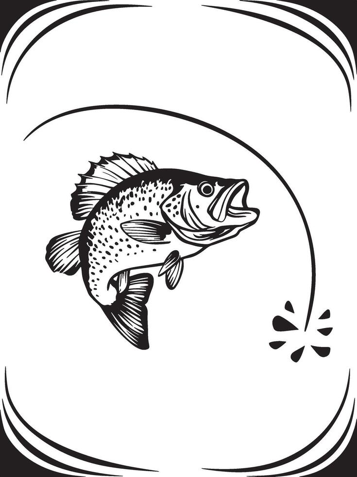 Artwork of crappie fish vector