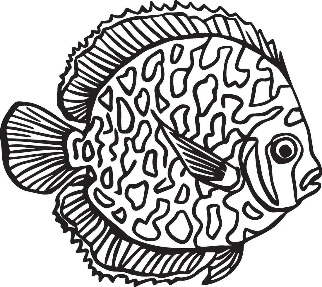 Artwork of discus fish vector