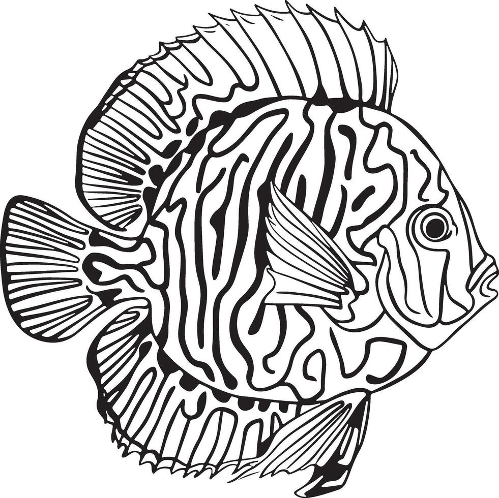 Artwork of Discuss fish vector