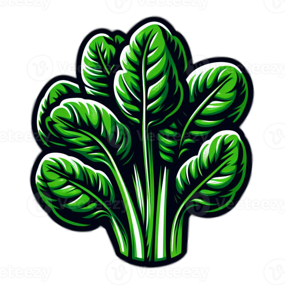 Bundle of Basil png