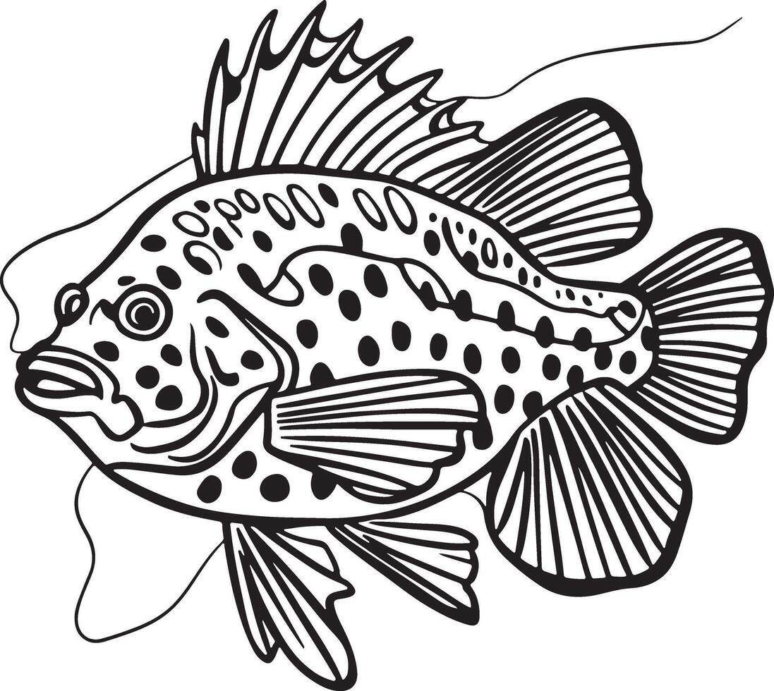 Artwork of peacock fish vector