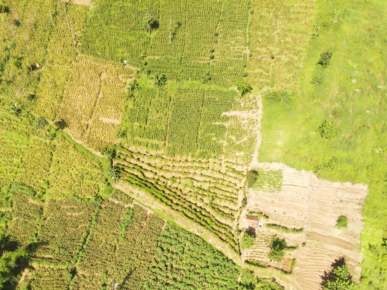 Aerial shot of the slopes of Mount Padakasih located in Cikancung - Indonesia. Forestry Industry. Panoramic Landscape. Graphic Resources. Selective Focus. Aerial Landscape Photography Concept photo