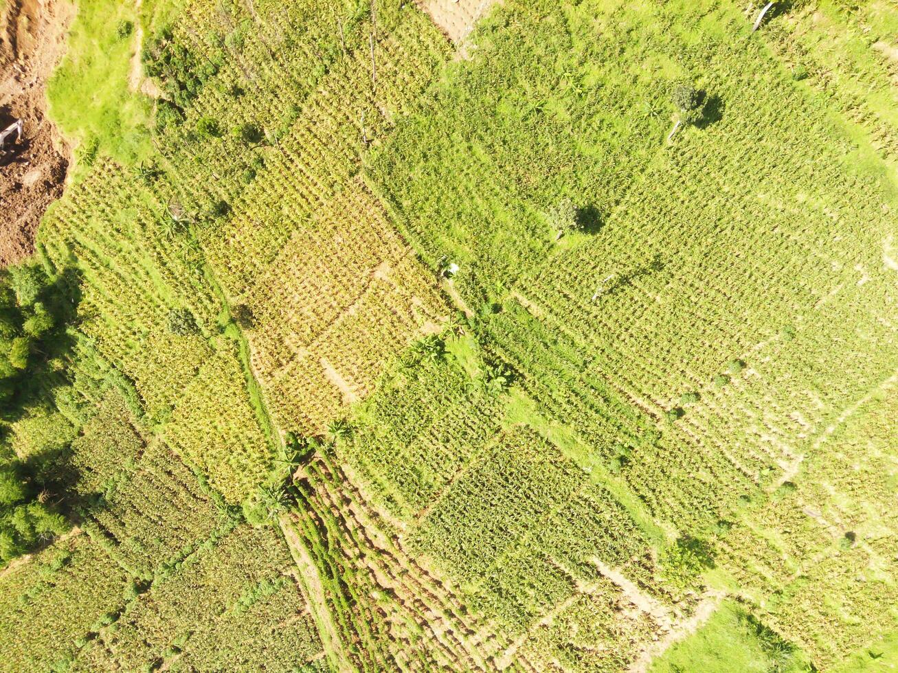 Aerial shot of the slopes of Mount Padakasih located in Cikancung - Indonesia. Forestry Industry. Panoramic Landscape. Graphic Resources. Selective Focus. Aerial Landscape Photography Concept photo