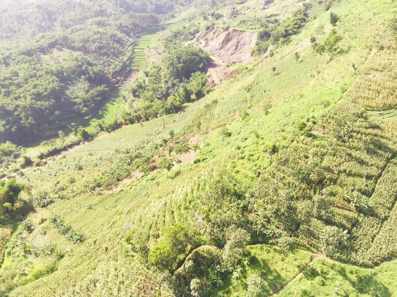Aerial shot of the slopes of Mount Padakasih located in Cikancung - Indonesia. Forestry Industry. Panoramic Landscape. Graphic Resources. Selective Focus. Aerial Landscape Photography Concept photo