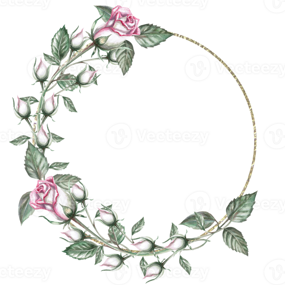 Round frame of delicate rose buds in watercolor illustration. Hand drawn watercolor drawing for wedding invitations, congratulations, gifts, memorable dates. Composition isolated from background. png