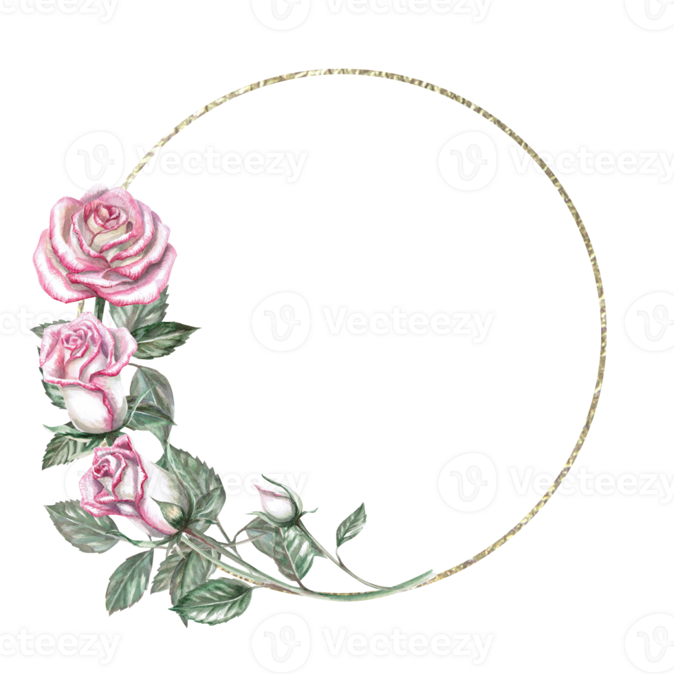 Round frame of pink roses in watercolor illustration. Hand drawn watercolor drawing for cards, wedding invitations, congratulations, gifts, memorable dates. Composition isolated from background. png