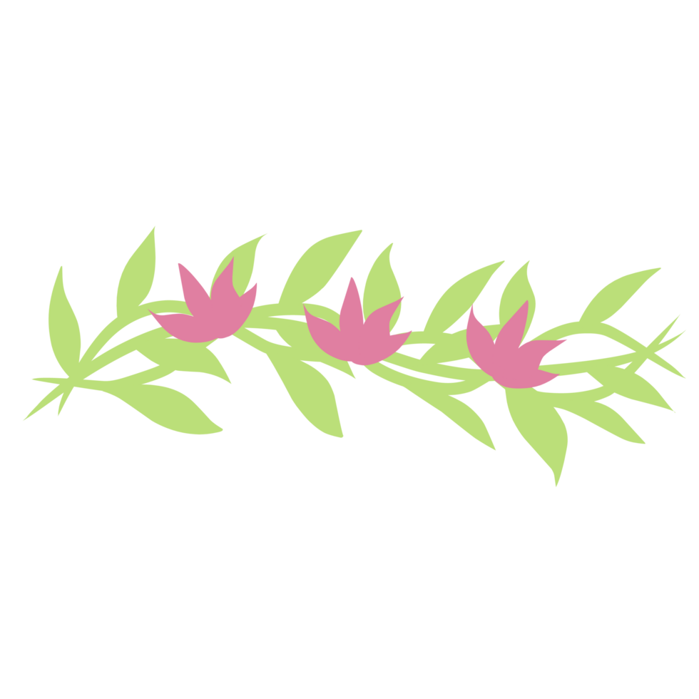 Botanical flower plant png