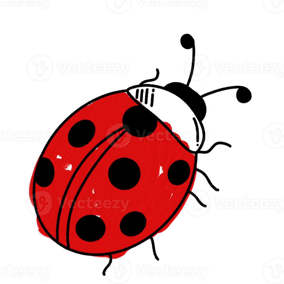 Lady bug Hand drawn doodle line art outline illustration with a red oil paint February 14, Valentine's Day Design element png