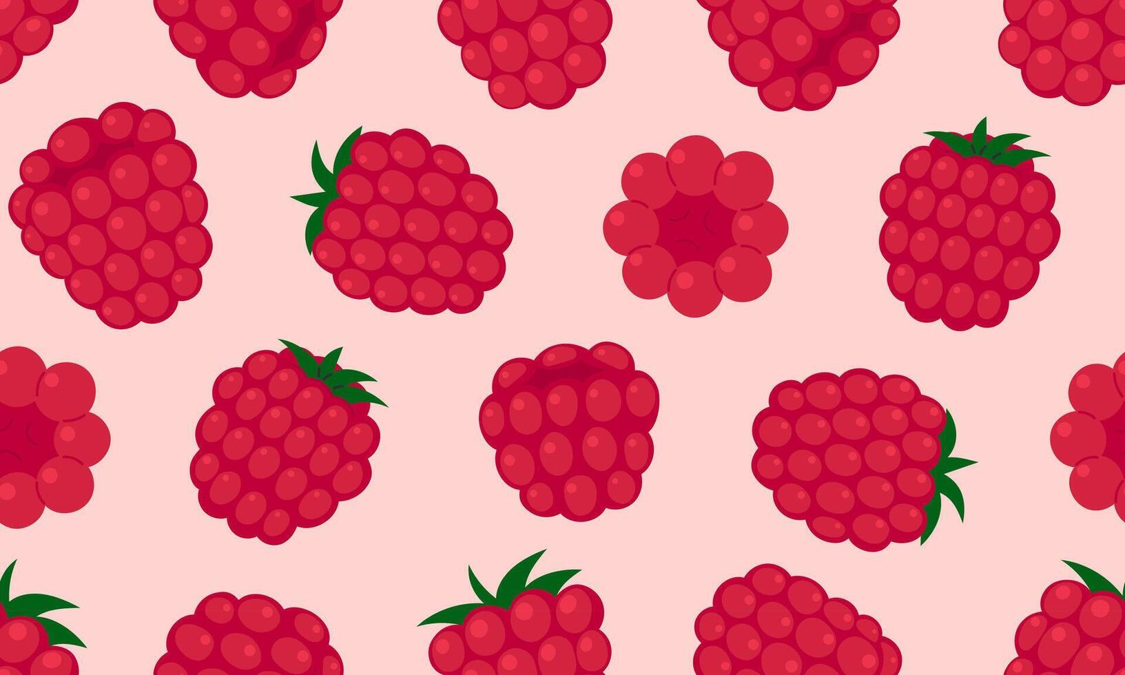 Seamless pattern with raspberry. Fresh summer juicy berry background. Flat illustration vector