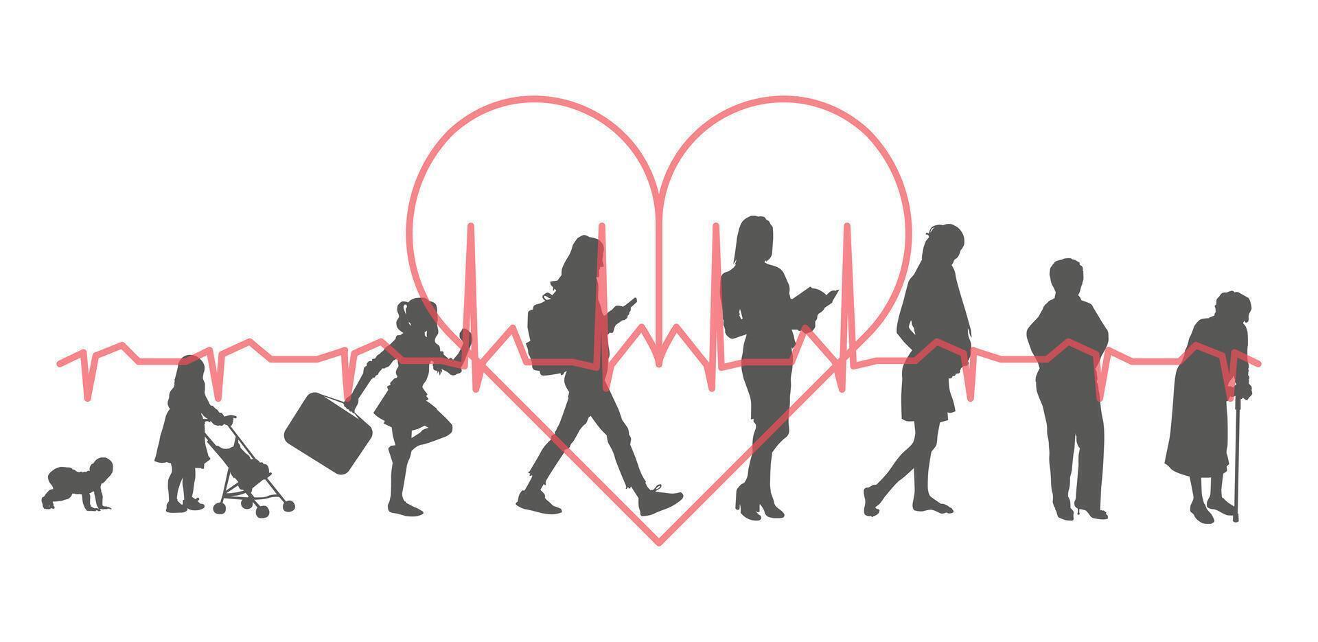Women, stages of development. Silhouettes against the background of a heartbeat. Life from birth to old age. vector