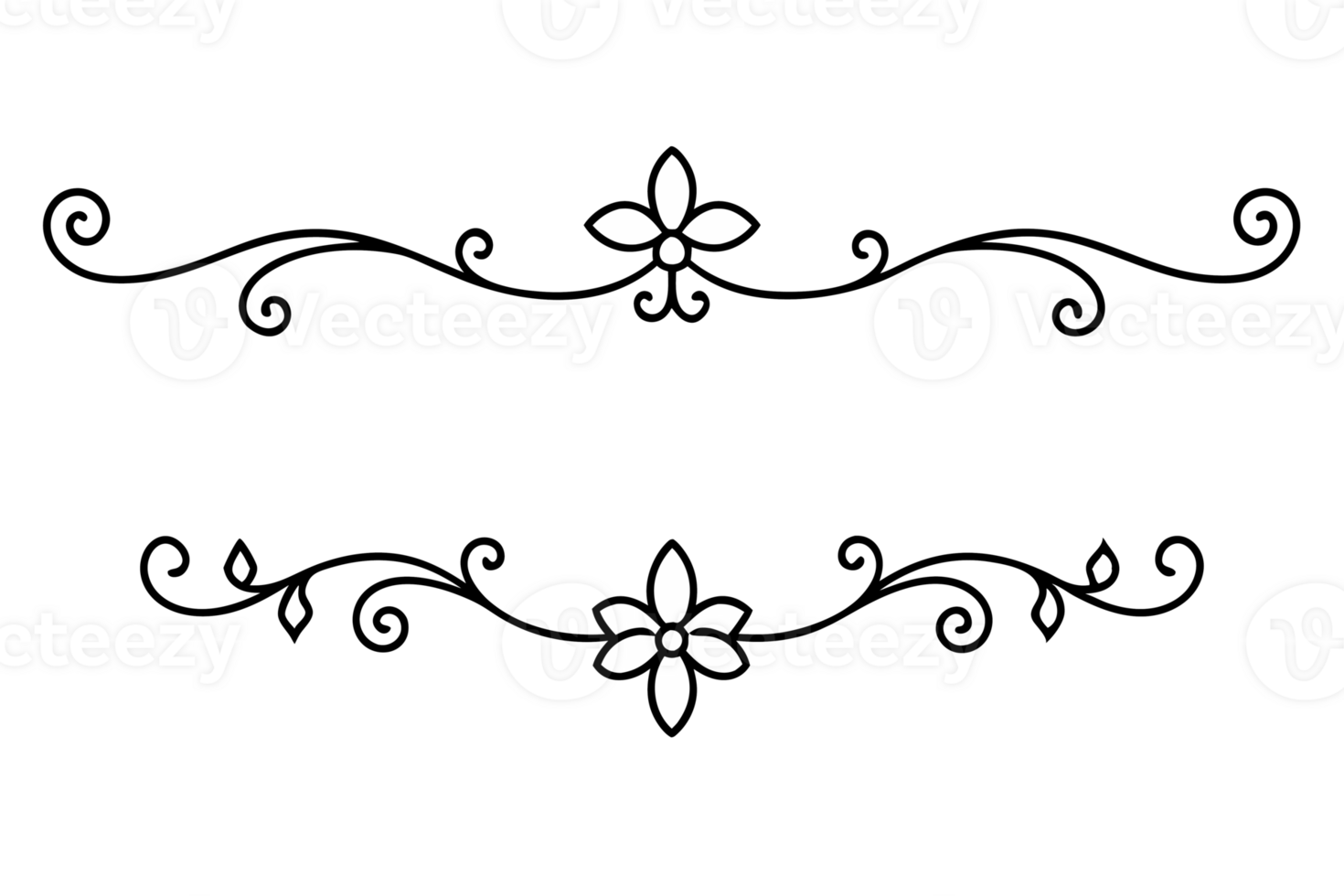 graphic with a black white elegant plant flow er ornament png