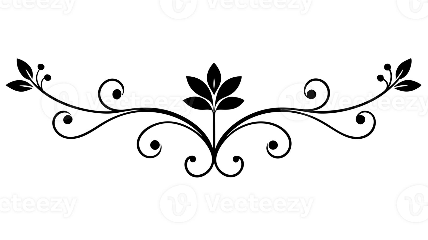 graphic with a black white elegant plant flower ornament png