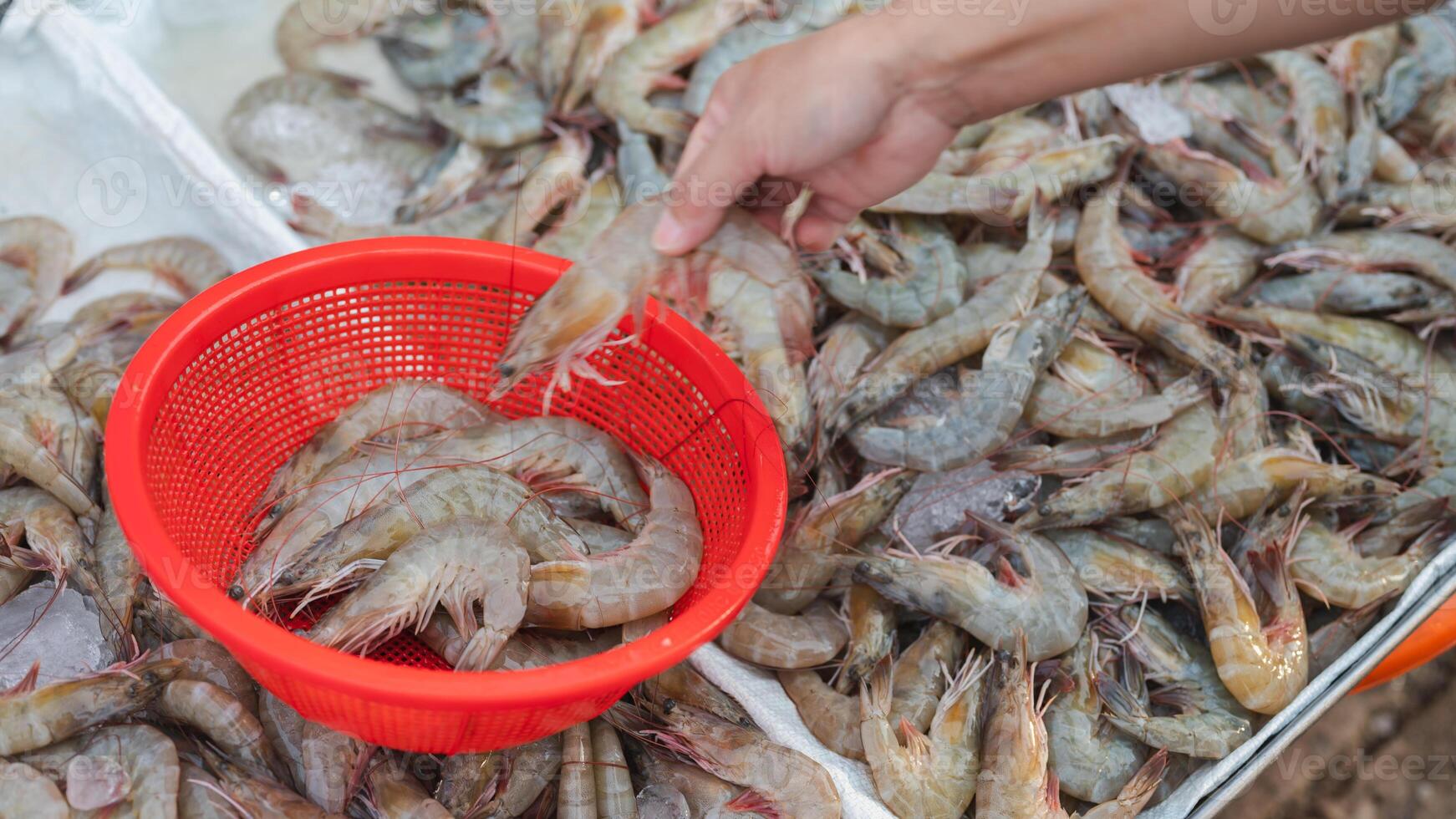 A person is picking up shrimp from a red basket. The shrimp are in a pile on a table photo