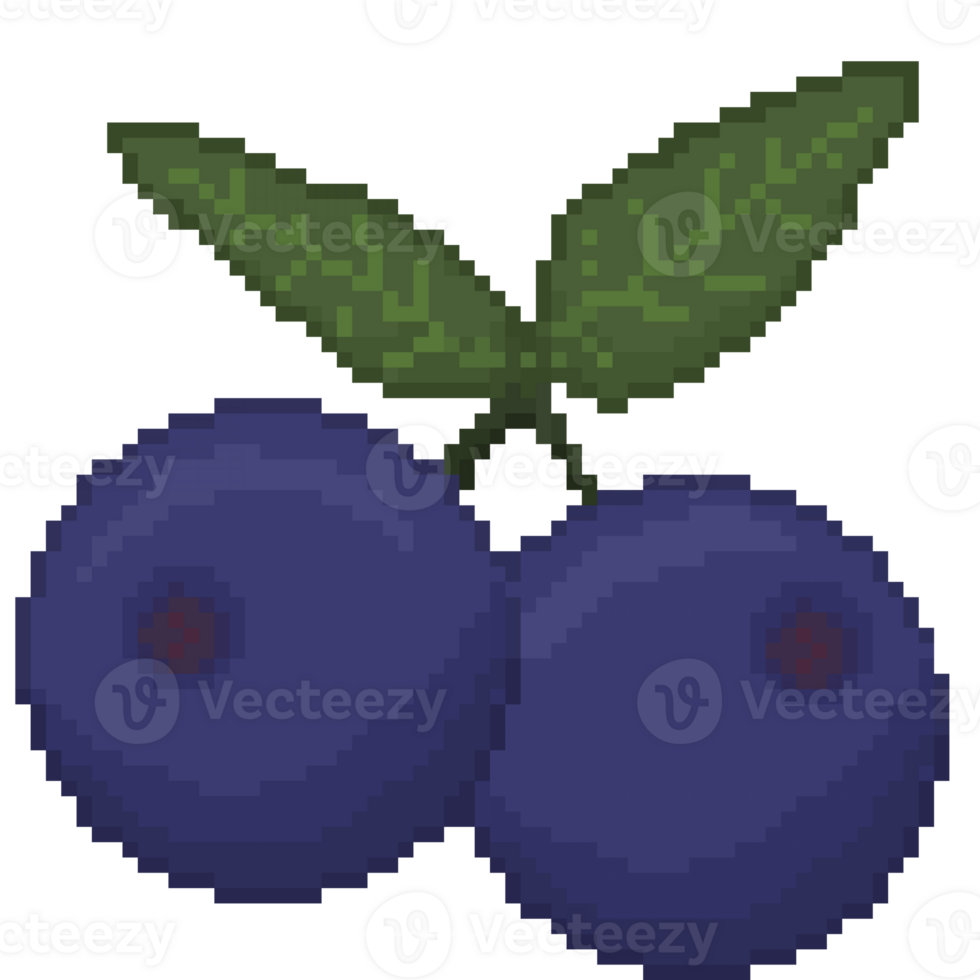A retro-styled pixel-art illustration of two blueberries hanging from a leafy green stem. png