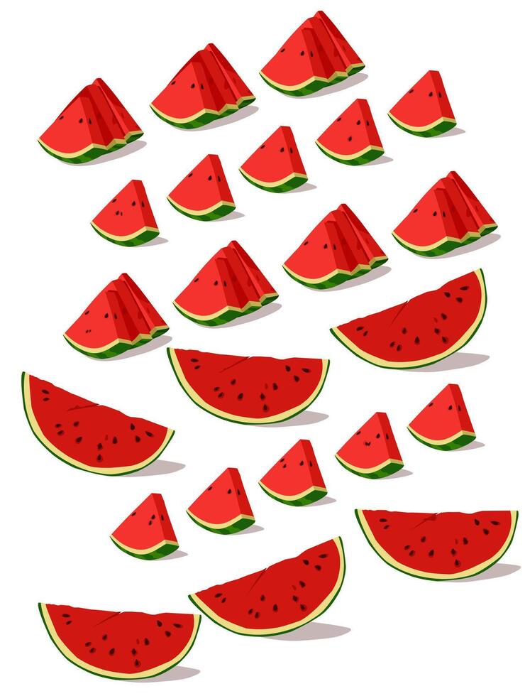Sliced watermelons line up isolated on white vector