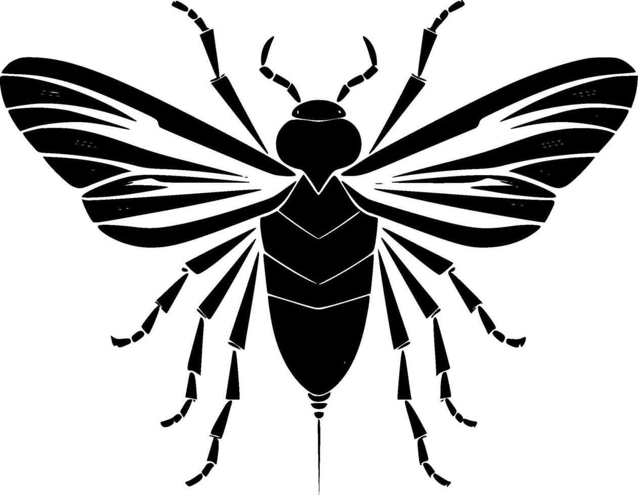 Beetle - Black and White Isolated Icon - illustration vector