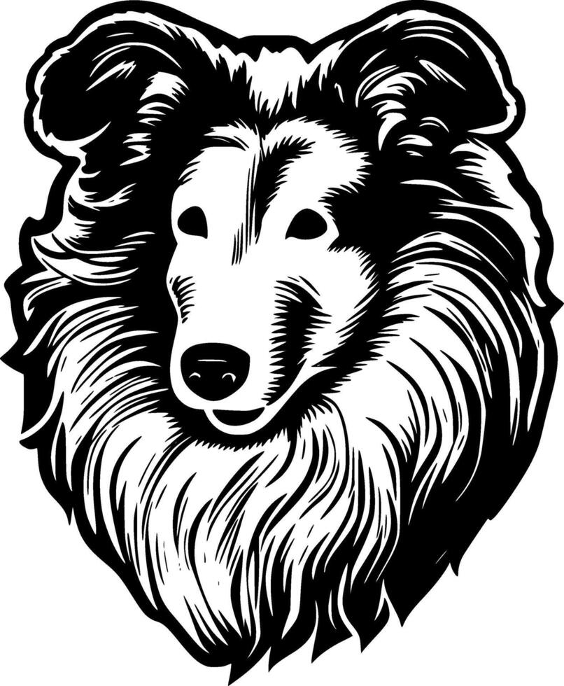 Shetland Sheepdog, Black and White illustration vector