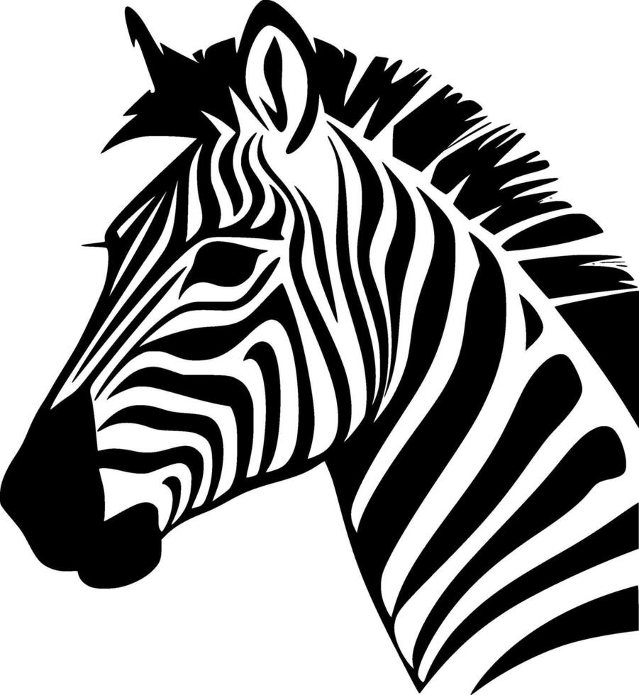 Zebra, Black and White illustration vector