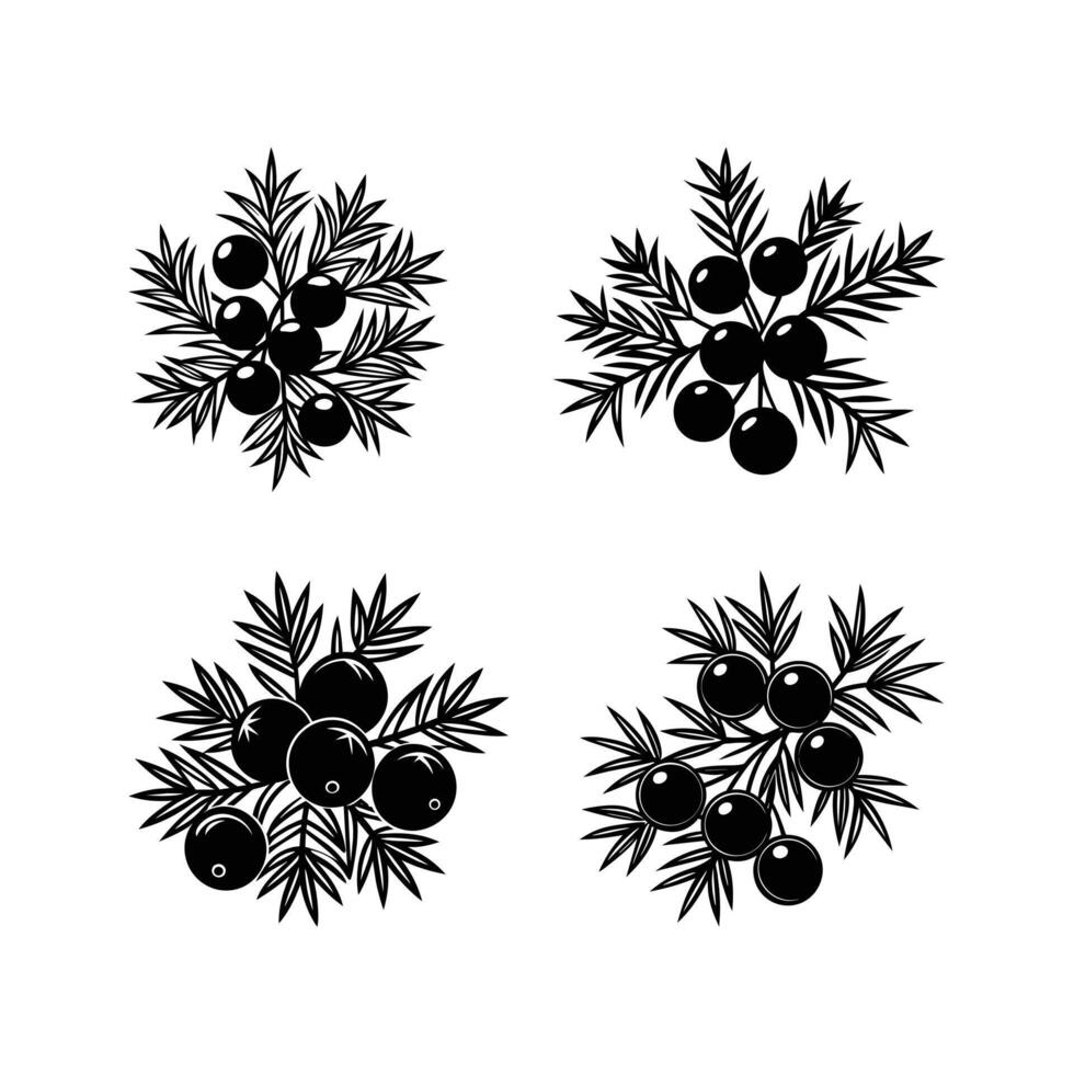 Juniper berry logo icons illustration vector