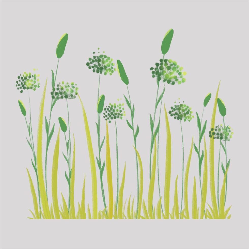 Wildflowers isolated background vector