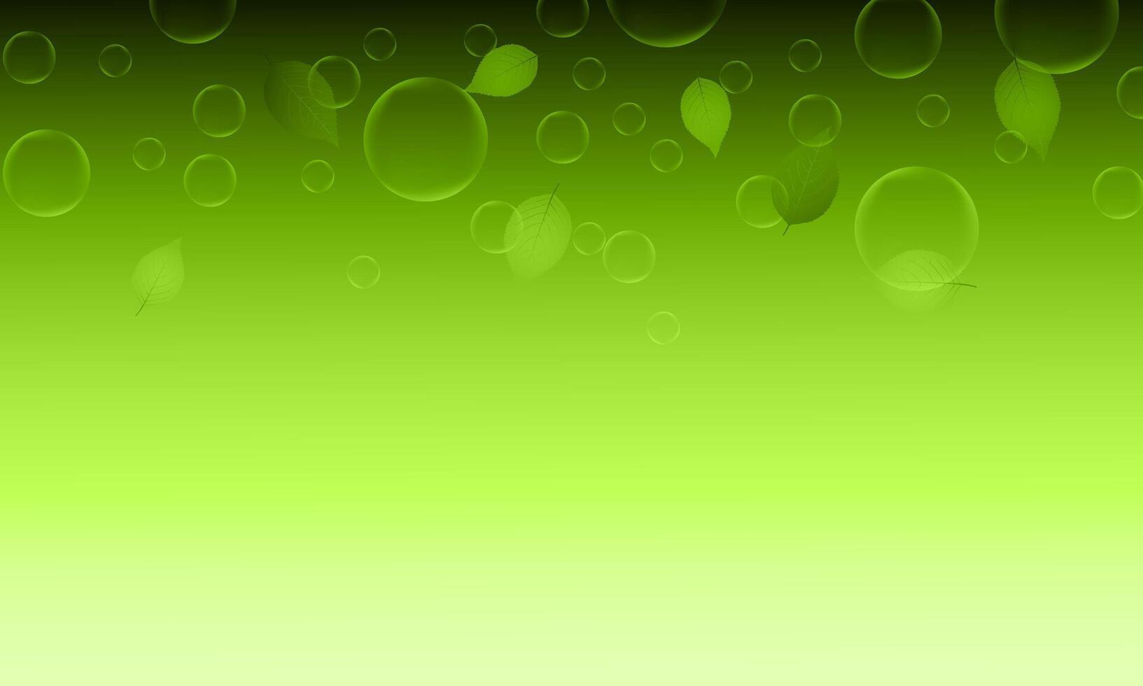 nature floral with bubbles and leaves on green background. vector