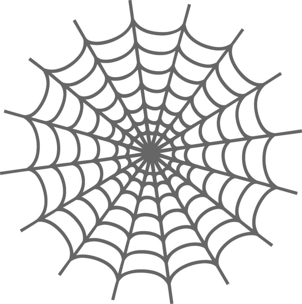 Spooky Spider Web vector