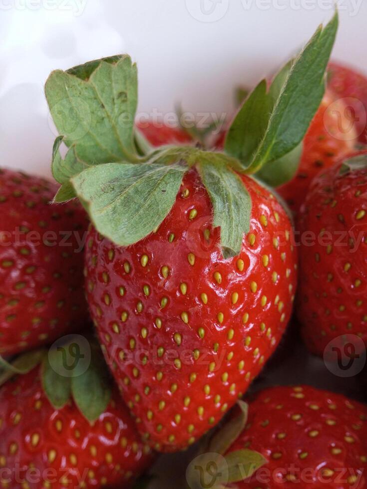 several red strawberries on a white background photo