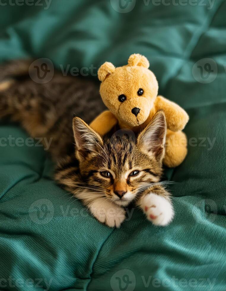 A tabby cat with a teddy bear lies on a soft green blanket photo