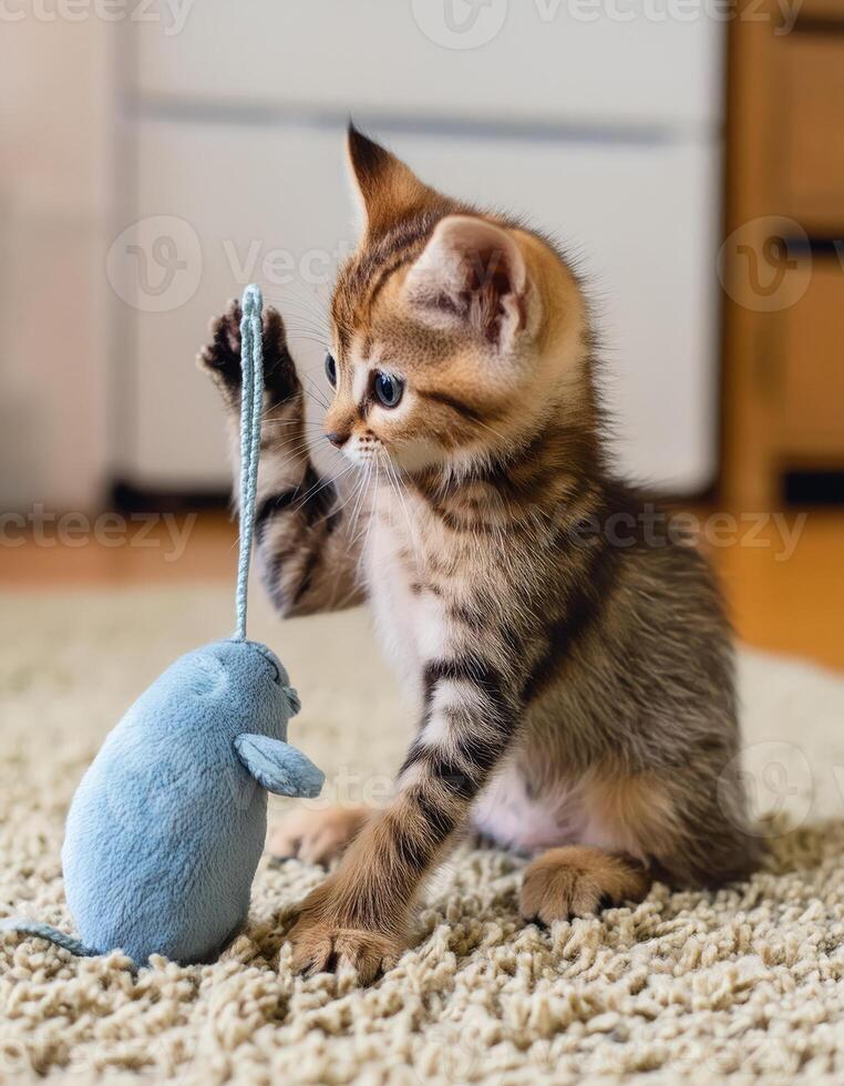 A kitten plays with a fuzzy toy mouse photo