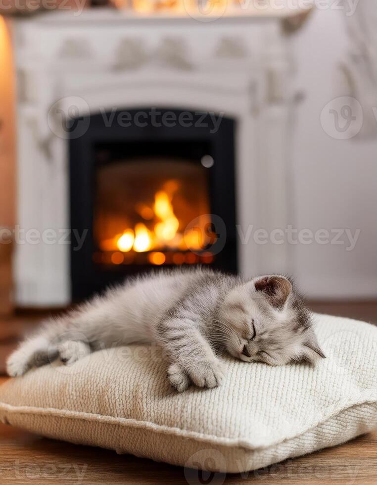 A cat naps peacefully by a fireplace photo