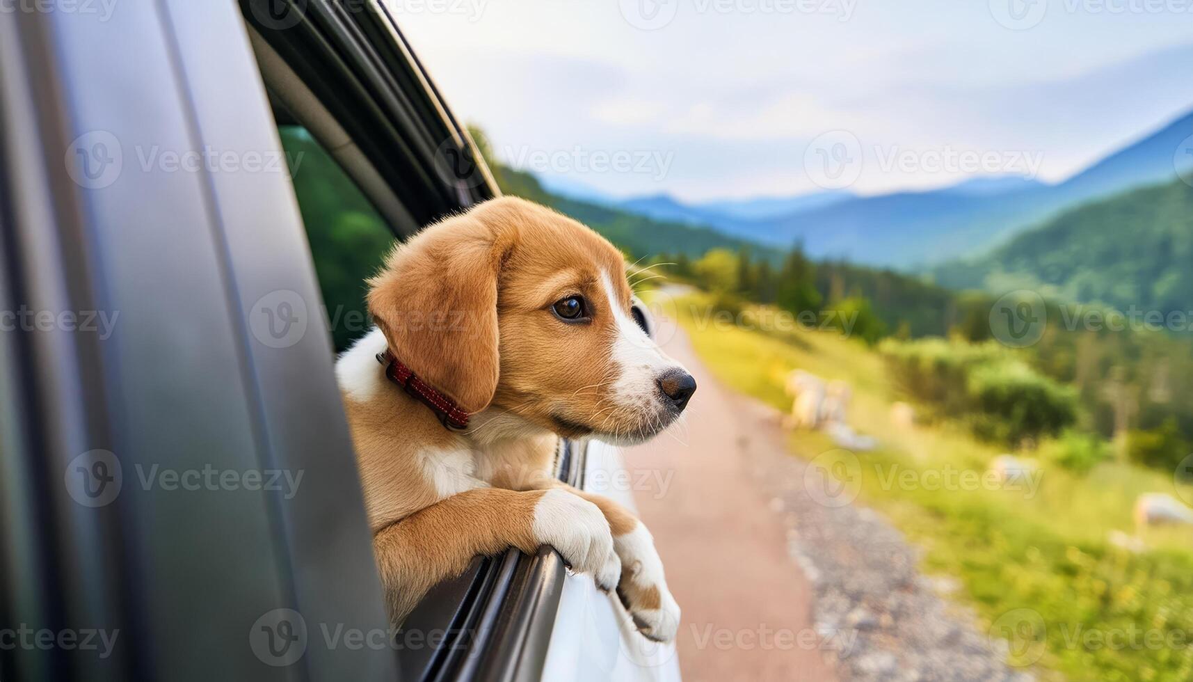 A puppy looks out the car window at a mountain landscape photo