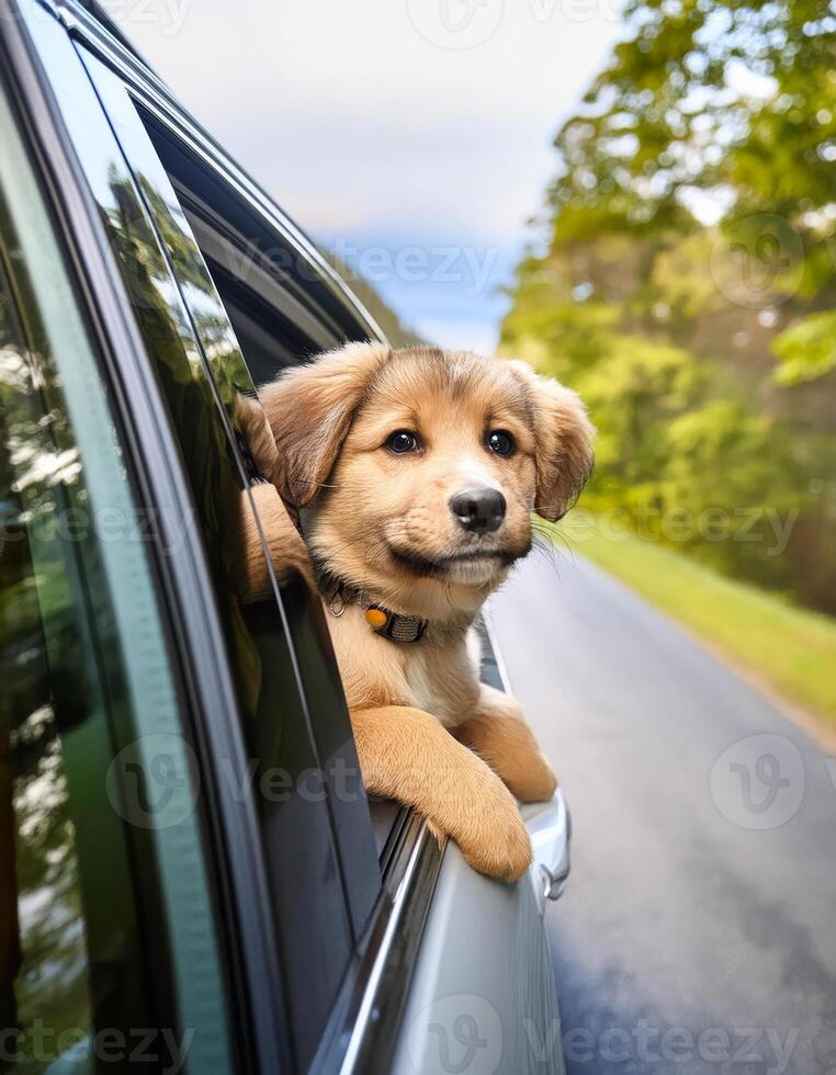 A puppy sticks its head out of a car window enjoying the ride photo