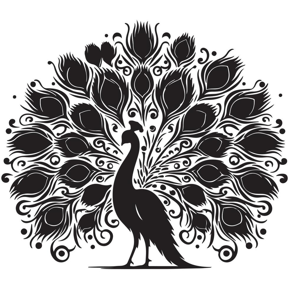 Black and White Peacock Art vector