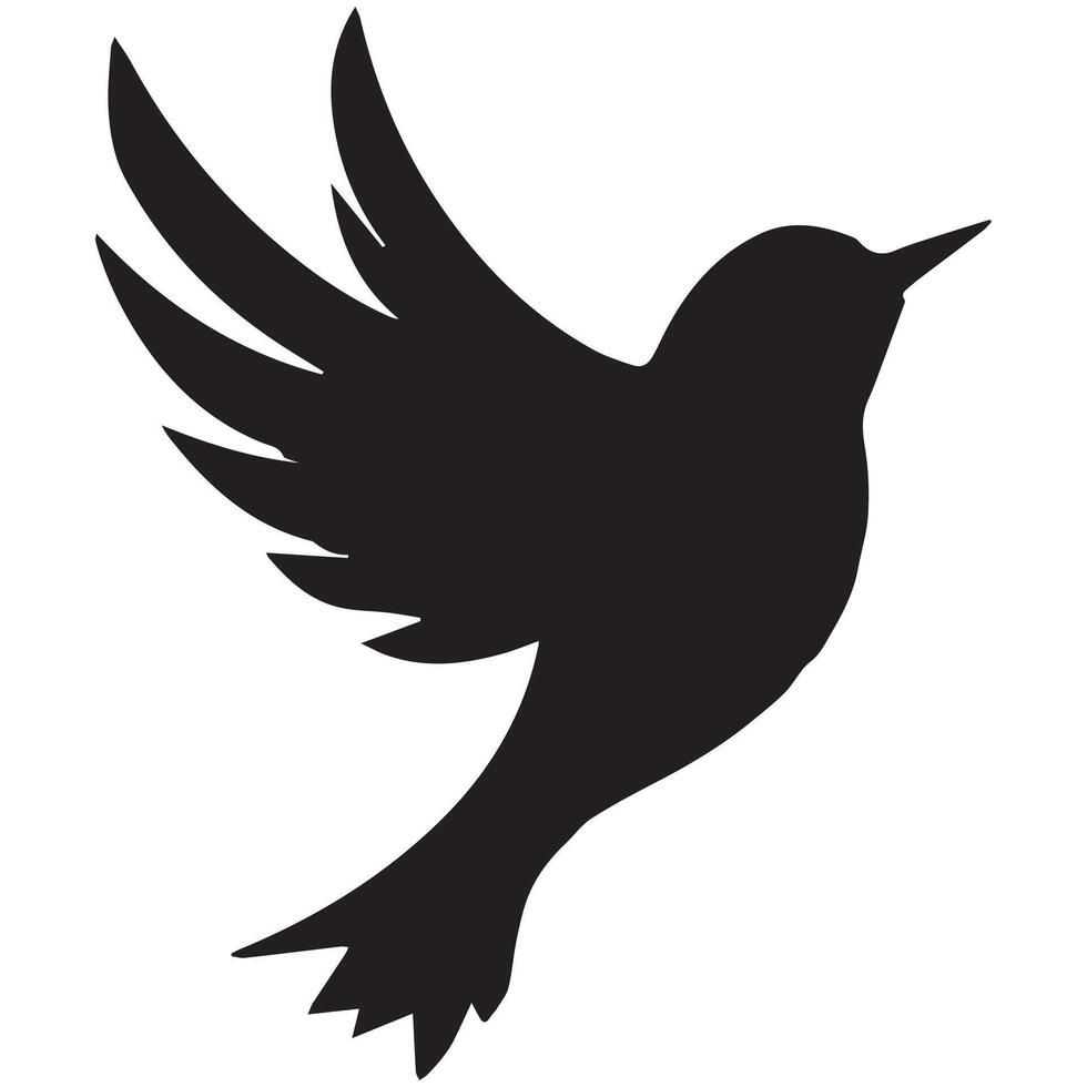 a black bird with a black face is on a white wall vector