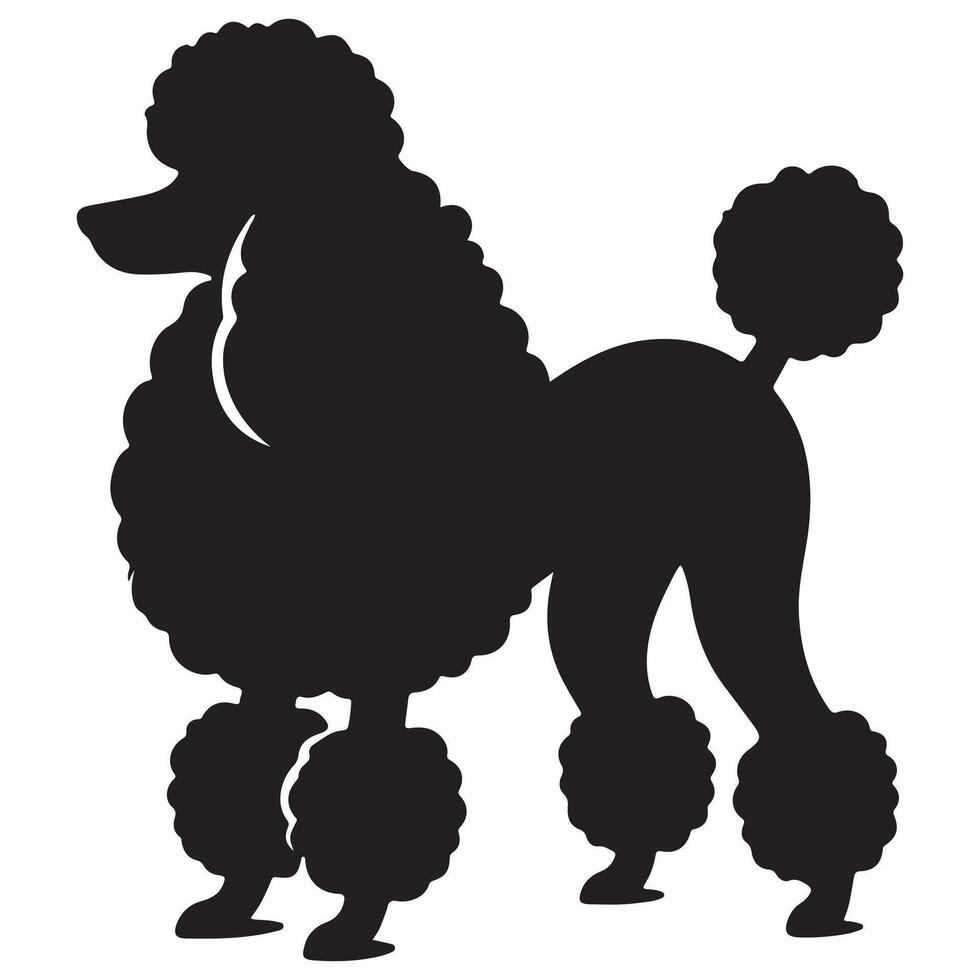 Poodle Silhouette Illustration White Background vector