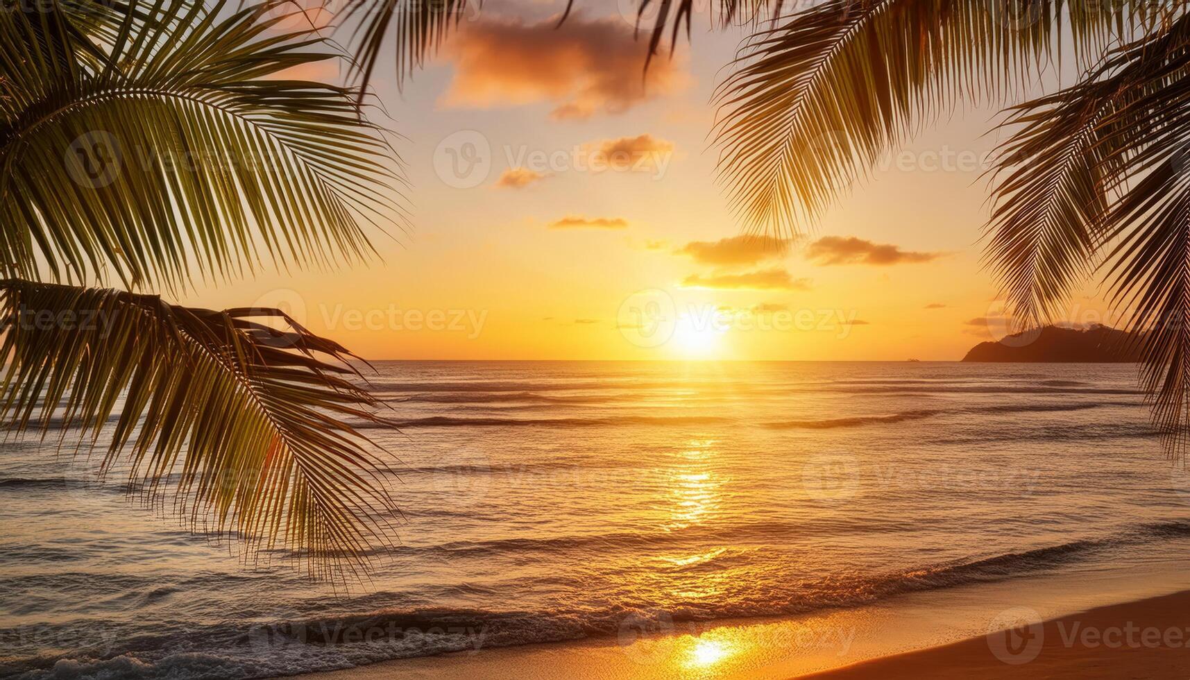 A golden sunset over the ocean framed by palm fronds photo