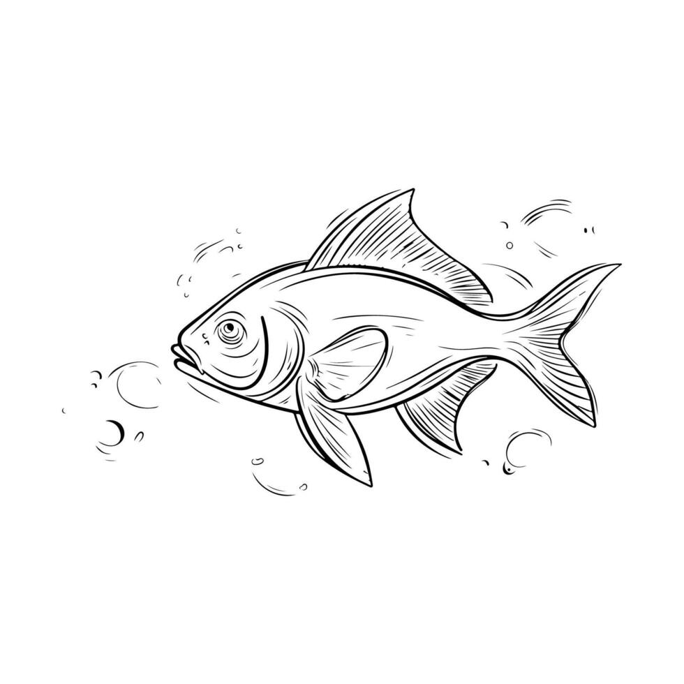 outline of a fish swimming in clear water vector