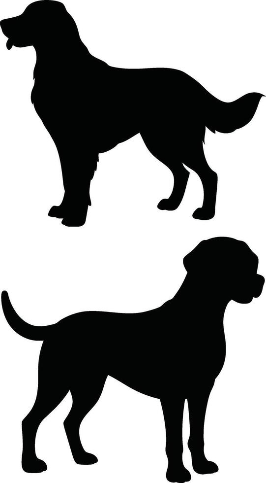 labrador retriever dog silhouette design,isolated on white background. vector