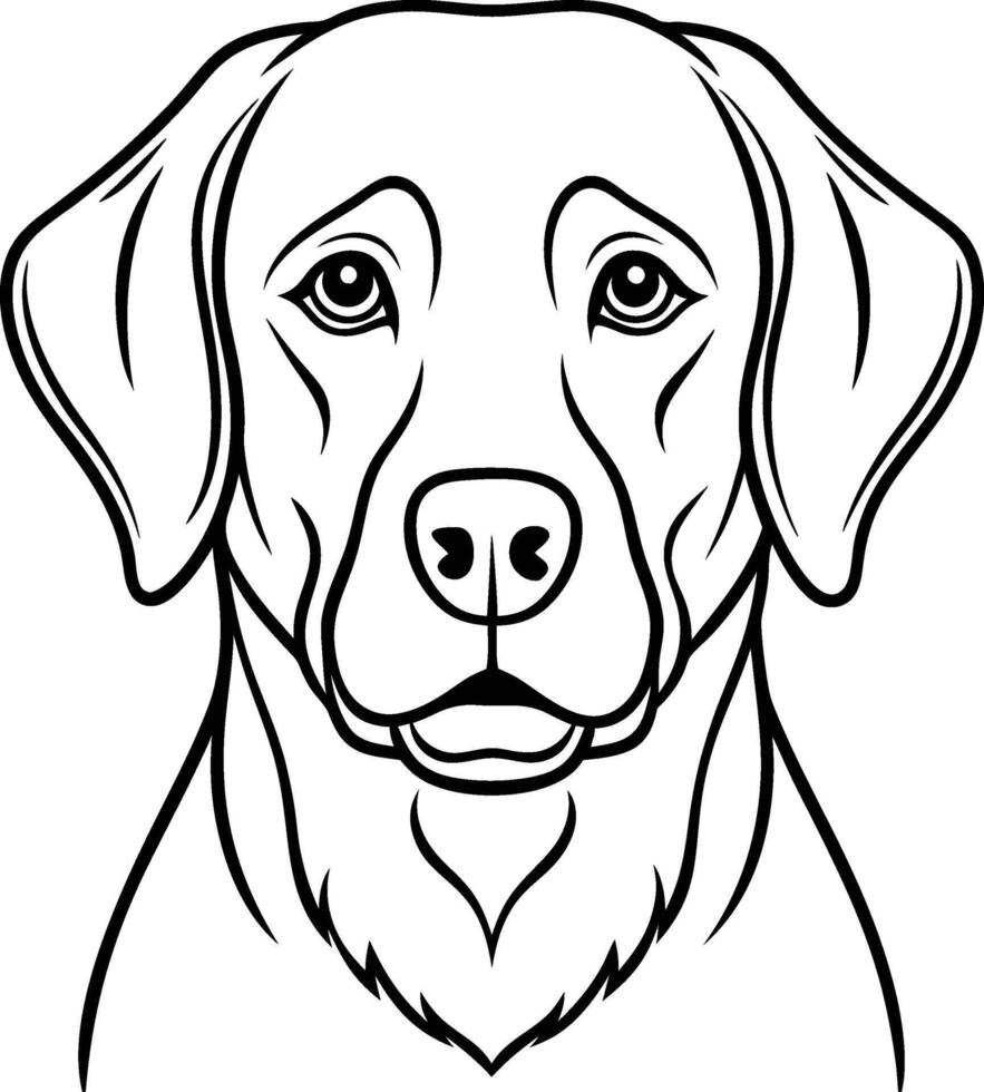 Labrador line art, Labrador line drawing, Labrador outline drawing,Labrador illustrations vector