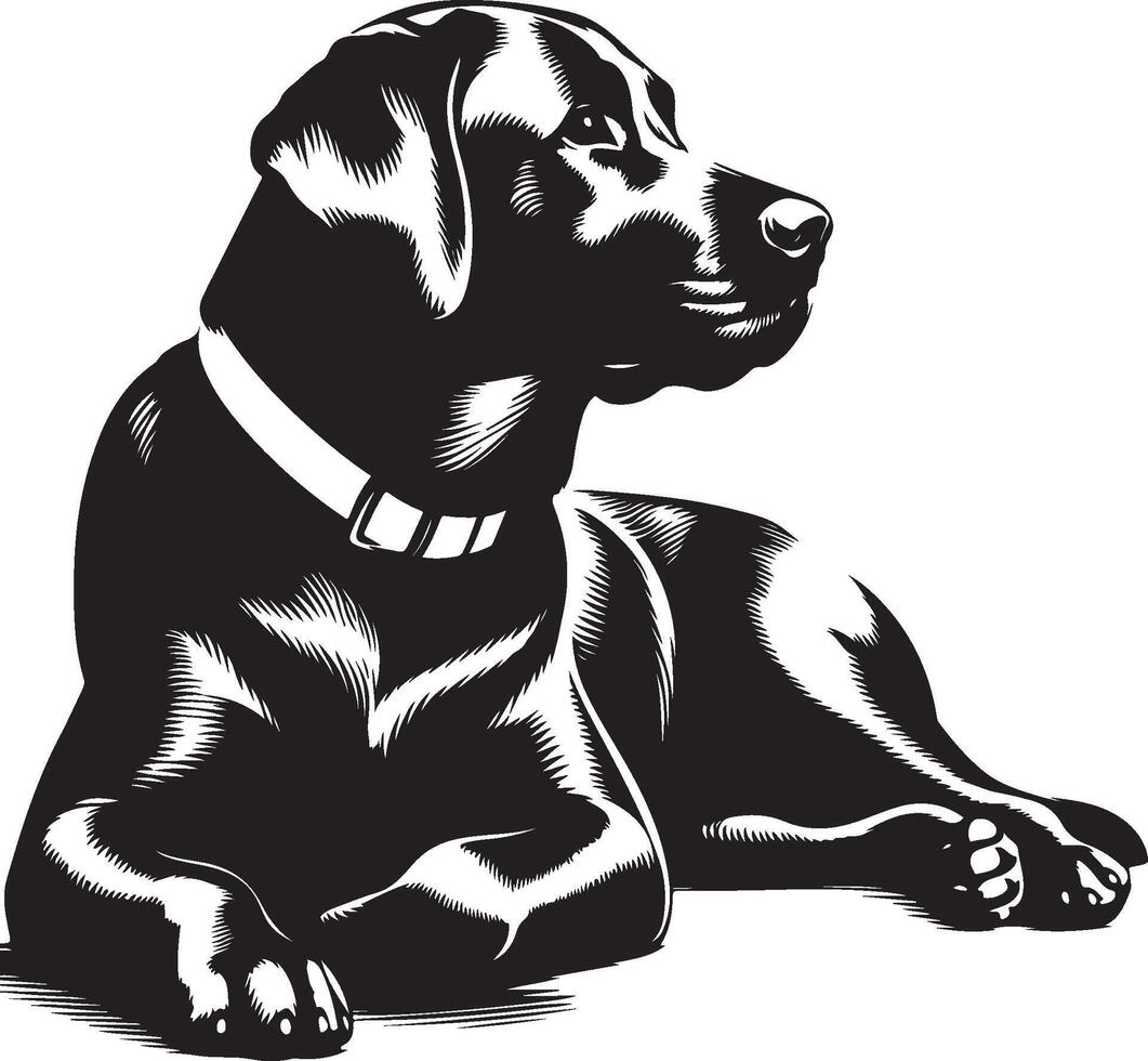 labrador retriever dog silhouette design,isolated on white background. vector