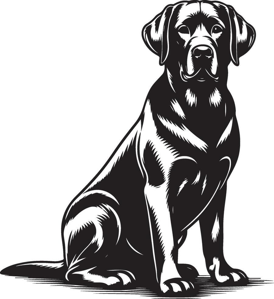 labrador retriever dog silhouette design,isolated on white background. vector