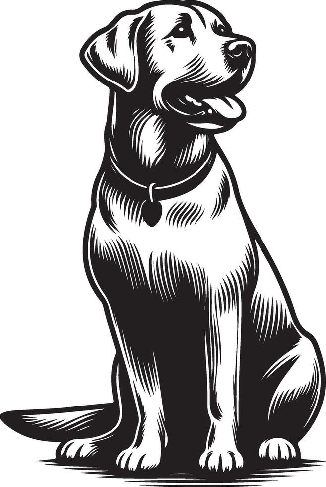 labrador retriever dog silhouette design,isolated on white background. vector